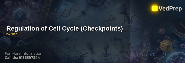 Diagram of cell cycle checkpoints showing G1/S, G2/M, and spindle checkpoints