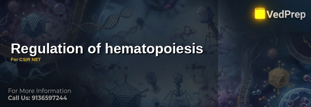 Hematopoiesis