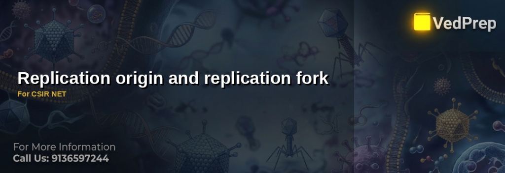 Replication Origin and Fork