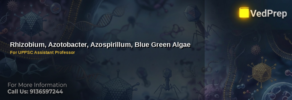 Close-up of soil microbes like Rhizobium and Azotobacter enhancing plant growth through biofertilizers microbes for sustainable agriculture