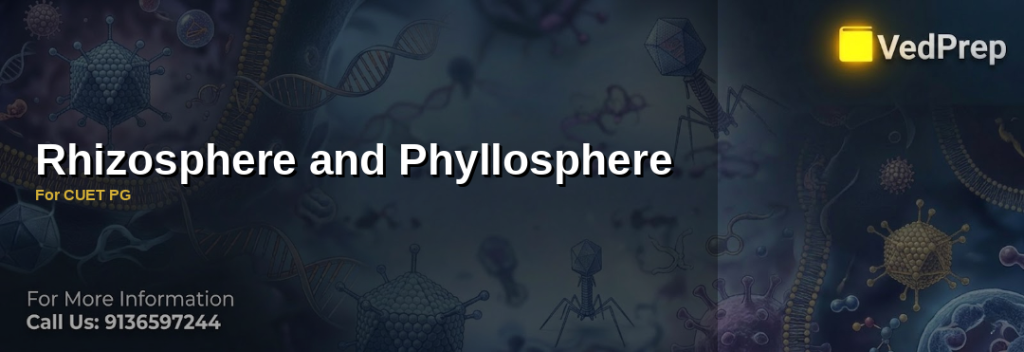Illustration showing rhizosphere soil microbes interacting with plant roots and phyllosphere leaf microbes under sunlight for rhizosphere and phyllosphere study