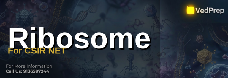 Ribosome