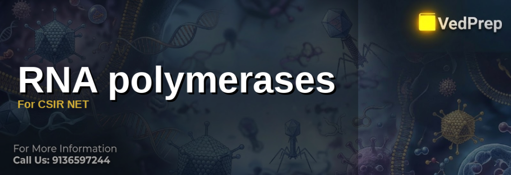 RNA Polymerases