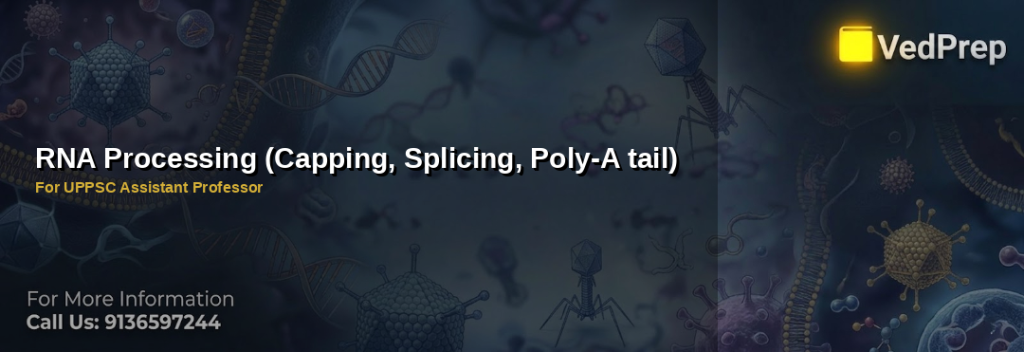 Illustration of RNA processing steps including capping, splicing, and poly-A tail addition for UPPSC Assistant Professor preparation
