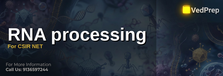 RNA processing