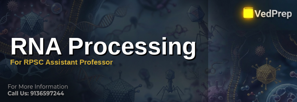 Illustration showing RNA processing mechanisms including splicing, capping, and polyadenylation for RPSC Assistant Professor preparation