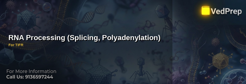 Illustration showing RNA splicing polyadenylation process with pre-mRNA, spliceosome, and poly-A tail formation