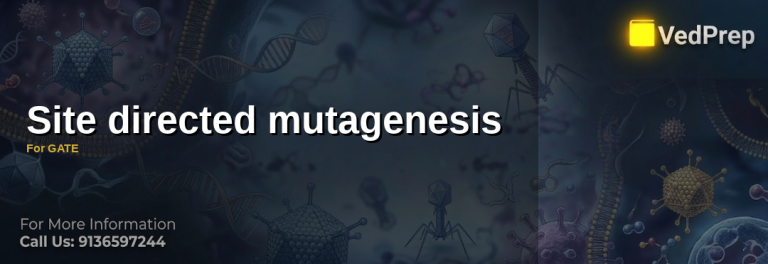 Site Directed Mutagenesis