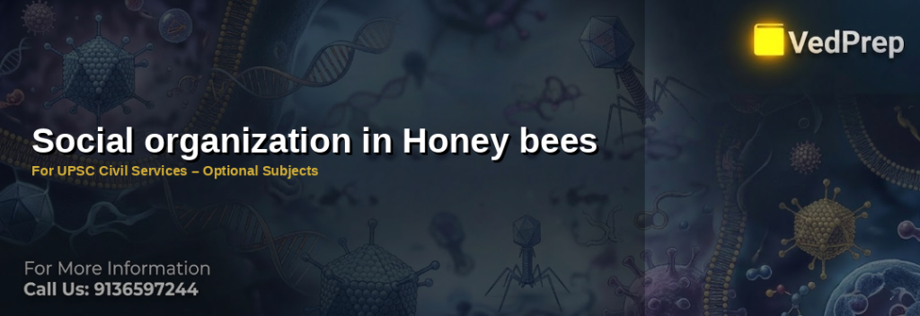 honey bees social organization explained – VedPrep exam preparation guide