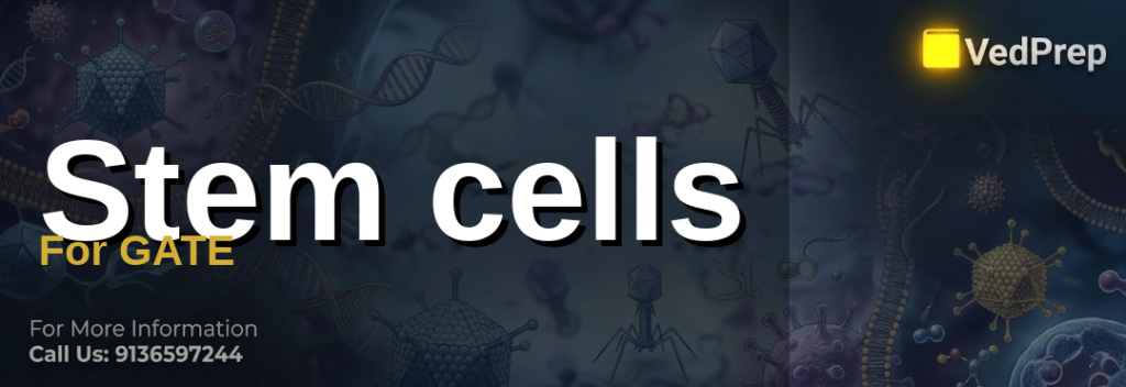 Stem cells For GATE