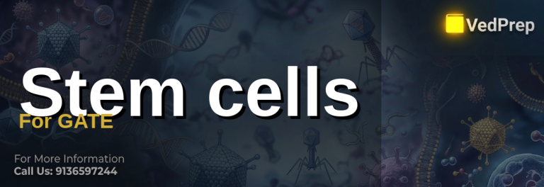 Stem cells For GATE