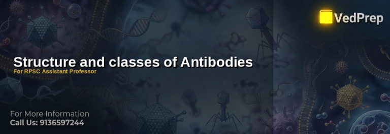 A detailed diagram illustrating the five classes of antibody structure classes with labeled Y-shaped glycoproteins and their functional regions