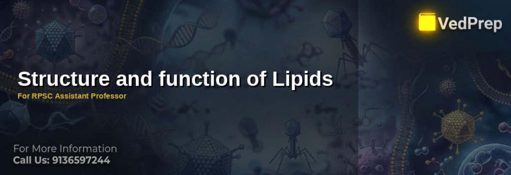 lipid structure function explained – VedPrep exam preparation guide