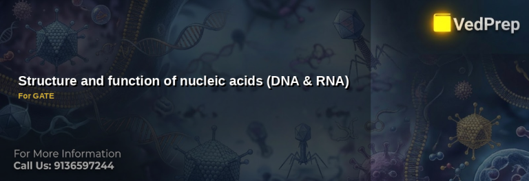 Structure and function of nucleic acid