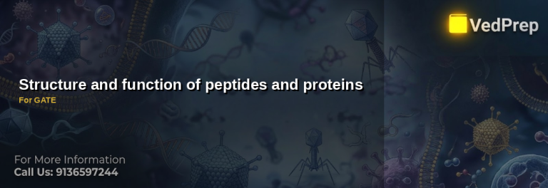 function of peptides and protein