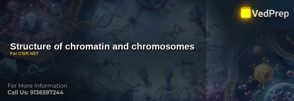Structure of chromatin and chromosomes