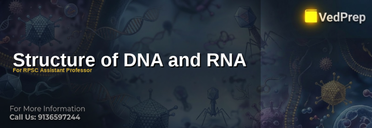 Structure of DNA and RNA