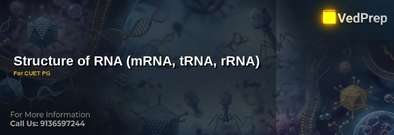 Detailed diagram showing RNA structure including mRNA tRNA rRNA for CUET PG preparation