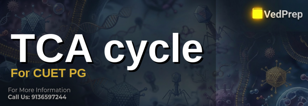 Diagram of the TCA cycle explained with labeled steps and key enzymes for CUET PG biochemistry preparation
