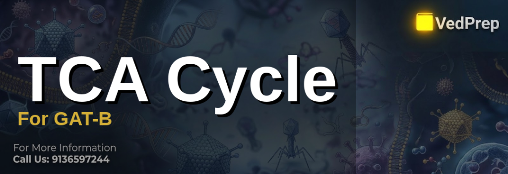 TCA cycle for GAT-B explained – VedPrep exam preparation guide