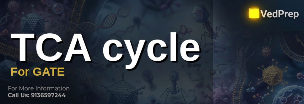 TCA cycle