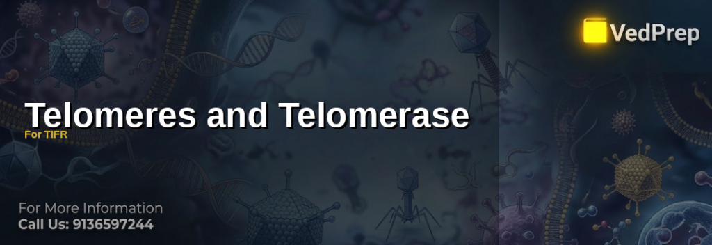 Telomeres and telomerase: essential molecular biology concepts for TIFR exam preparation
