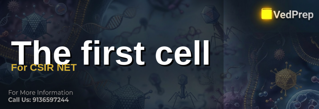 First Cell