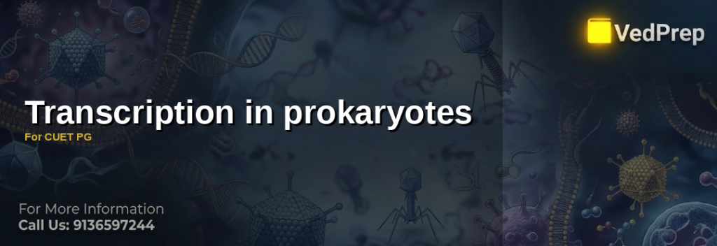 Transcription in prokaryotes For CUET PG
