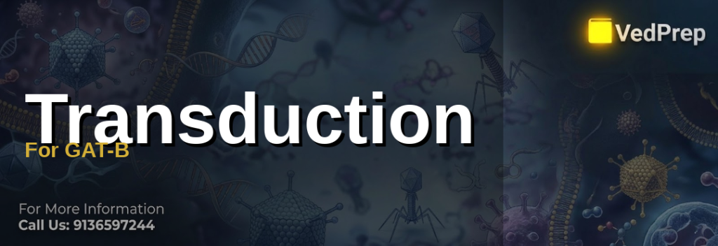A detailed illustration of bacteriophages mediating transduction for GAT-B preparation, showing genetic material transfer between bacterial cells