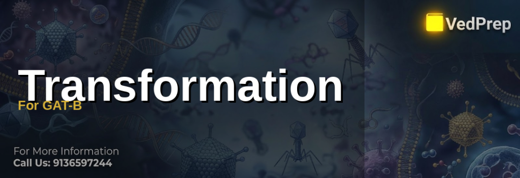 Genetic transformation techniques explained with bacterial cells and DNA molecules