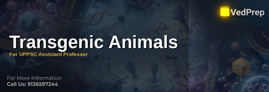 Scientist working with transgenic animals under laboratory conditions
