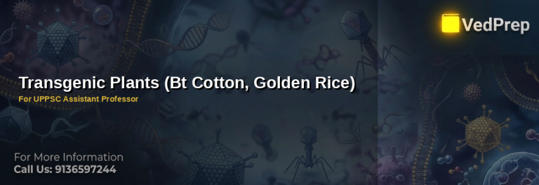 Scientist analyzing transgenic plants techniques for agricultural biotechnology research