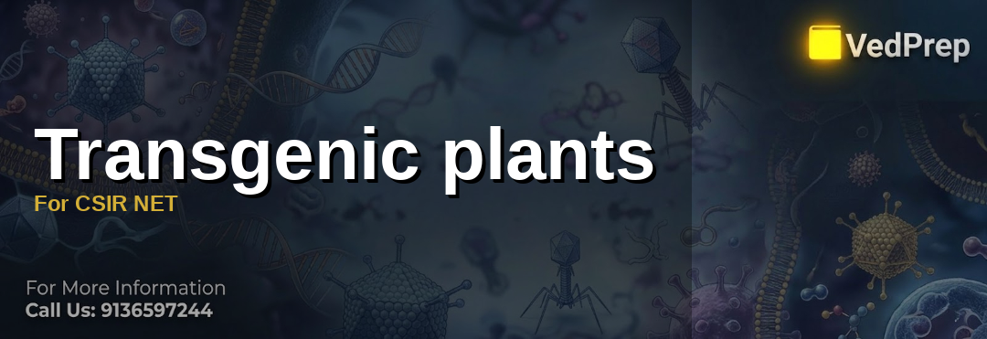Transgenic plants For CSIR NET: A Comprehensive Overview 2026 - Vedprep ...