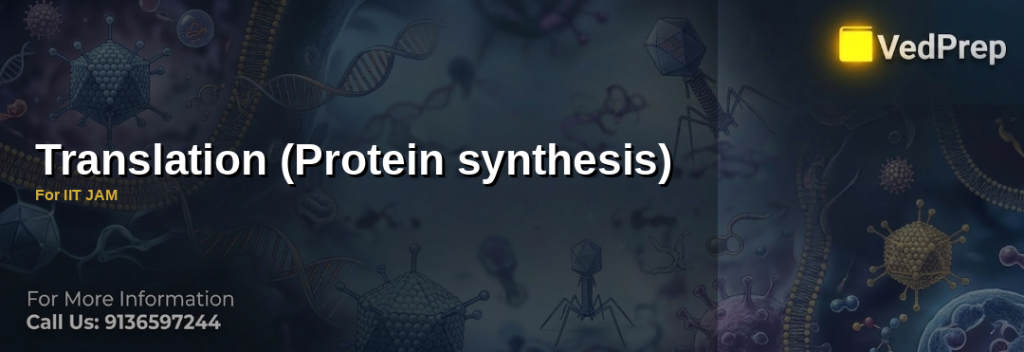 Translation (Protein synthesis)