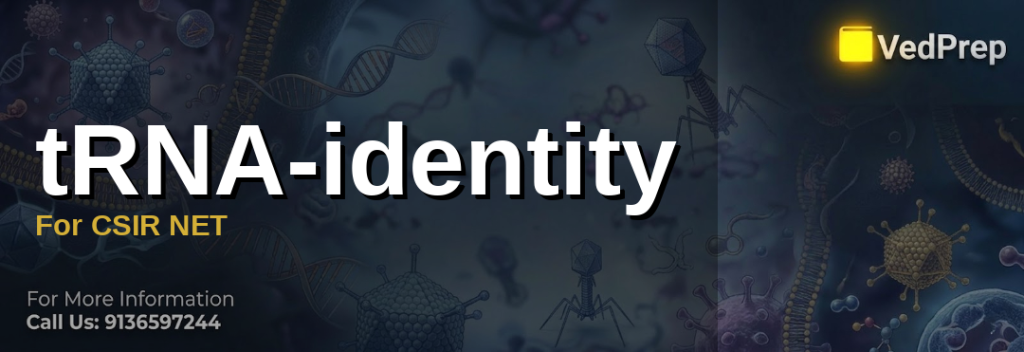 tRNA-identity