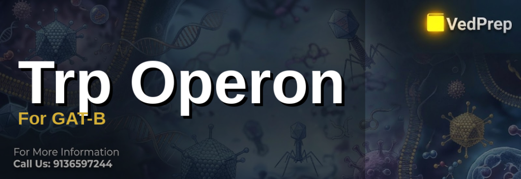 Illustration showing trp operon regulation mechanism with tryptophan binding to repressor protein in E. coli