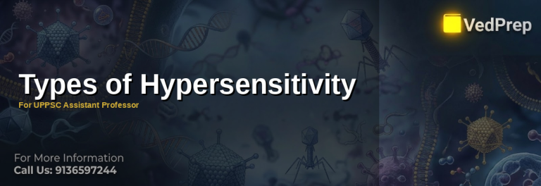 Illustrative diagram showing the four types of hypersensitivity reactions with immune system components