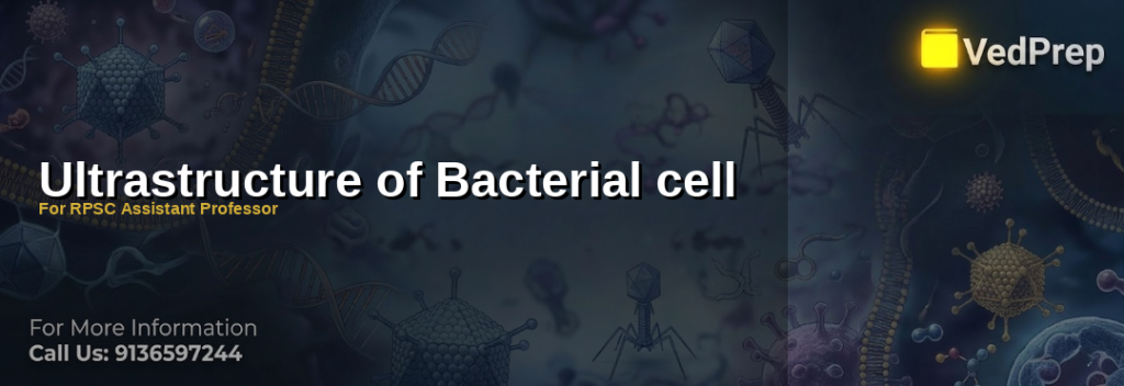 Detailed illustration of bacterial cell ultrastructure showing peptidoglycan layers, ribosomes, and membrane components