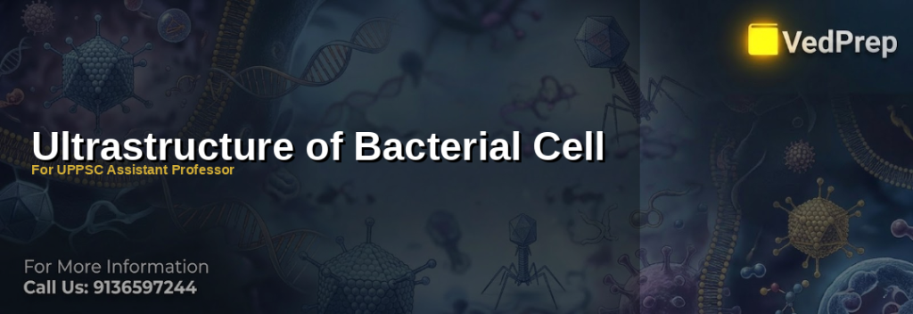 Detailed illustration of bacterial cell ultrastructure showing cell wall, cytoplasm, and membrane components