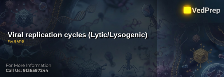 Illustration of bacteriophages demonstrating lytic and lysogenic cycles in viral replication