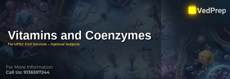A detailed illustration showing the biochemical pathways of vitamins and coenzymes in cellular metabolism